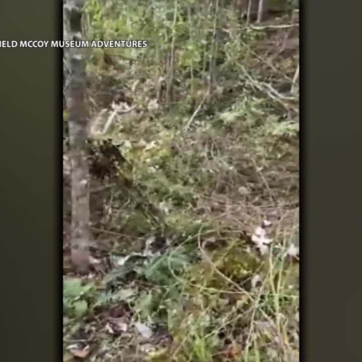 Kentucky State Police believe body found in wooded area near I-75 is of suspected gunman